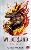 Das Feuer / Wilderland Bd.2