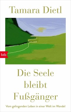 Cover Die Seele bleibt Fußgänger