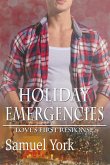 Holiday Emergencies (Love's First Response, #4) (eBook, ePUB) Holiday Emergencies (Love's First Response, #4) (eBook, ePUB)
