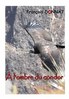 Cover À l'ombre du condor