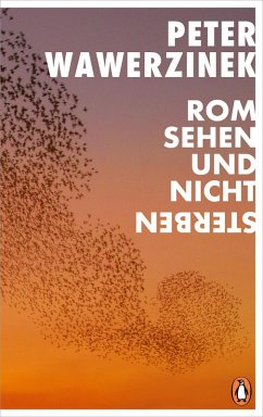 Cover Rom sehen und nicht sterben