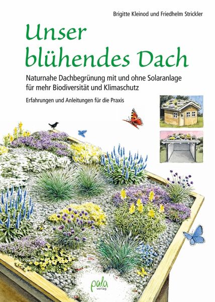 Unser blühendes Dach (eBook, PDF)