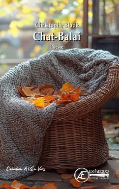 Cover Chat-balai (eBook, ePUB)