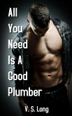 All You Need Is A Good Plumber (eBook, ePUB)