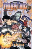 Fairy Tail vol. 23 (eBook, ePUB)