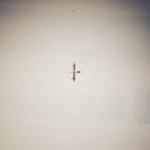 Endling (Limited Clear Vinyl) Endling (Limited Clear Vinyl)