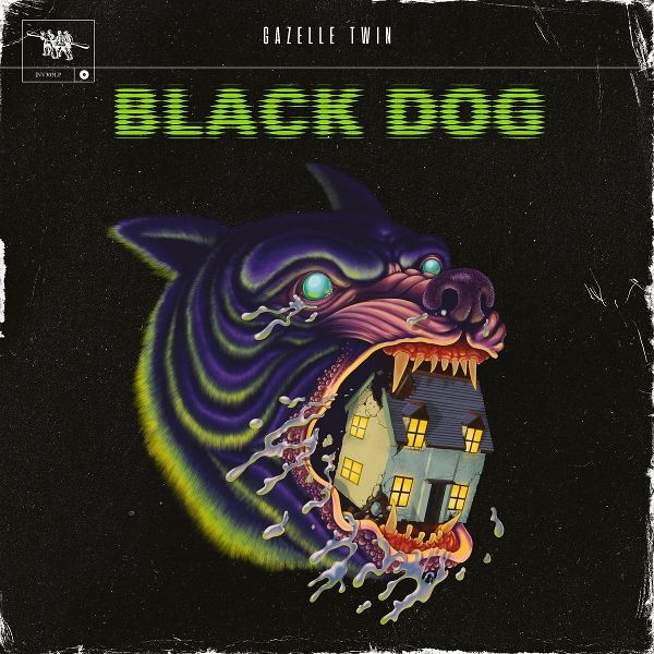 Black Dog Black Dog