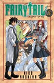 Fairy Tail vol. 03 (eBook, ePUB)