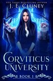 Corviticus University (eBook, ePUB) Corviticus University (eBook, ePUB)