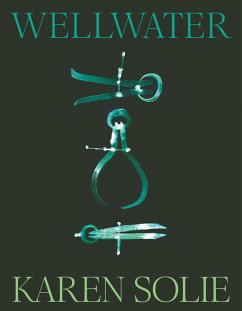 Wellwater (eBook, ePUB) - Solie, Karen