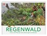 Regenwald - Bild 1