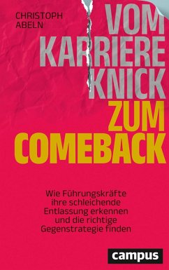 Cover Vom Karriereknick zum Comeback