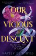 Our Vicious Descent - Bild 1