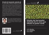 Estudio del barrenador moteado de la vaina que infesta el gramo verde Estudio del barrenador moteado de la vaina que infesta el gramo verde