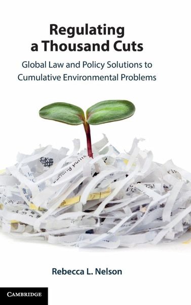 Regulating a Thousand Cuts Regulating a Thousand Cuts