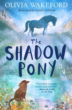 Cover The Shadow Pony