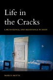 Life in the Cracks Life in the Cracks