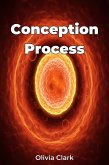 Conception Process (eBook, ePUB)