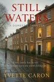 Still Waters: An unputdownable gripping domestic thriller (eBook, ePUB)