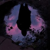 Aurora Aurora