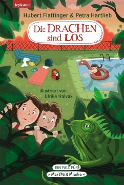 Die Drachen sind los (eBook, ePUB) - Flattinger, Hubert; Hartlieb, Petra