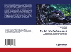 The Cat-fish, Clarius carsonii