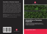 Geomática e florestas tropicais Geomática e florestas tropicais