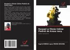 Rozpad w filmie Céline Podró¿ do kresu nocy