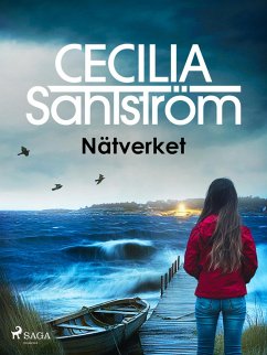 Cover Nätverket (eBook, ePUB)