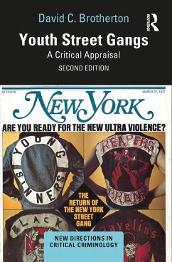 Cover Youth Street Gangs (eBook, PDF)