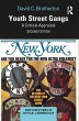 Youth Street Gangs (eBook, ePUB) - Bild 1