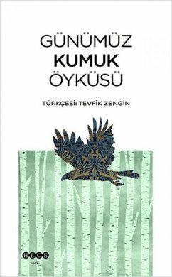 Cover Günümüz Kumuk Öyküsü