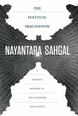 The Political Imagination The Political Imagination