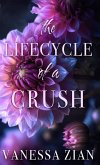The Lifecycle of a Crush The Lifecycle of a Crush
