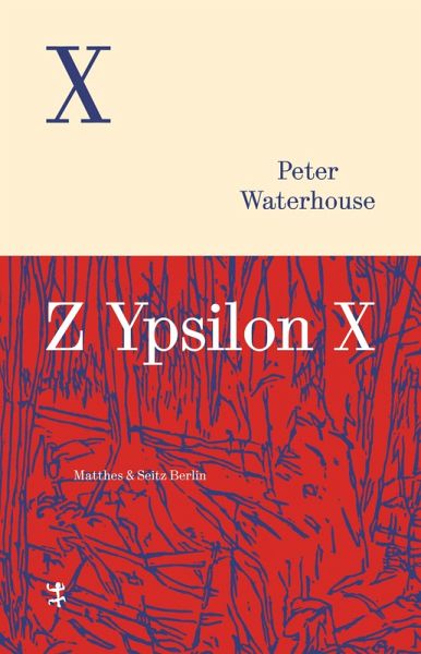 Z Ypsilon X Z Ypsilon X