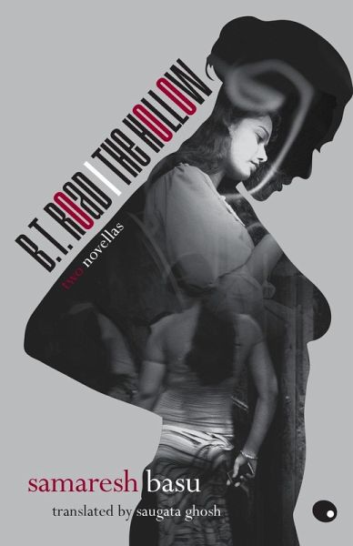 B.T. Road / The Hollow - Two Novellas Translated By