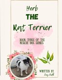 Herb The Rat Terrier Herb The Rat Terrier