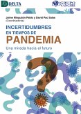 Incertidumbres En Tiempos De Pandemia Una Mirada Hacia El Futuro (eBook, PDF)