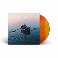 Cover Avenoir (Transparent Pumpkin Spice Lp)
