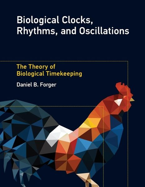 Biological Clocks, Rhythms, and Oscillations