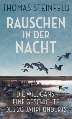 Cover Rauschen in der Nacht