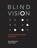 Blind Vision Blind Vision