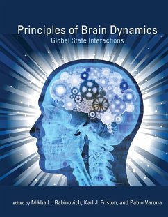 Principles of Brain Dynamics Cover Principles of Brain Dynamics