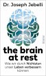 the brain at rest (eBook, ePUB) - Bild 1