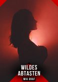 Wildes Abtasten (eBook, ePUB)