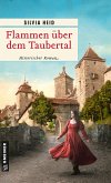 Flammen über dem Taubertal (eBook, ePUB)