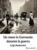 Un mese in Germania durante la guerra (eBook, ePUB)