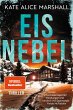 Eisnebel (eBook, ePUB) - Bild 1