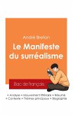 Réussir son Bac de français 2025 : Analyse du Manifeste du surréalisme de André Breton Réussir son Bac de français 2025 : Analyse du Manifeste du surréalisme de André Breton