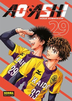 Cover AO ASHI 29